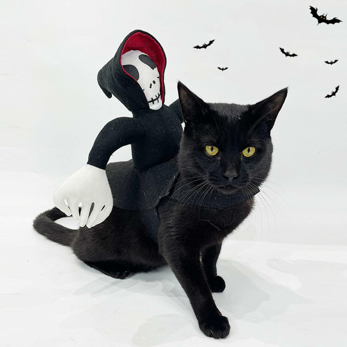 Ghost Rider Saddle Dog Costume