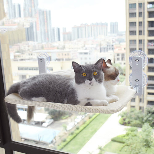 Cat Window Perch Hammock with Suction Cups
