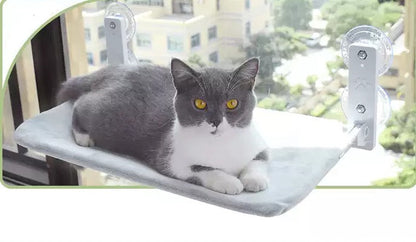 Cat Window Perch Hammock with Suction Cups