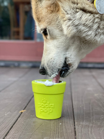 SodaPup Large Flower Pot eCup – Treat Dispensing Enrichment Toy