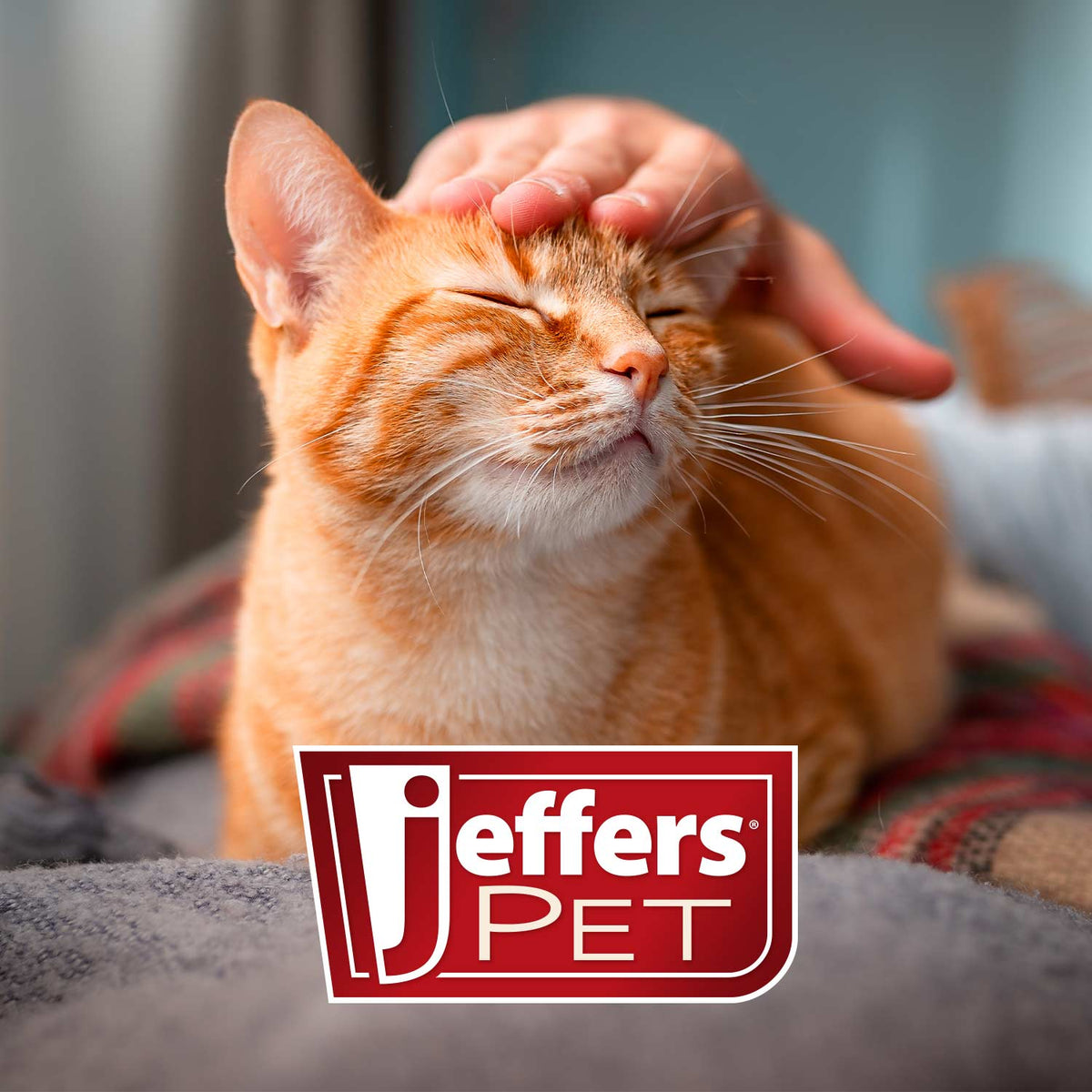 Jeffers Dual-Level Slicker Brush for Dogs & Cats