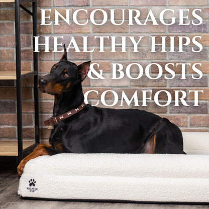 Luxury Orthopedic Dog Bed