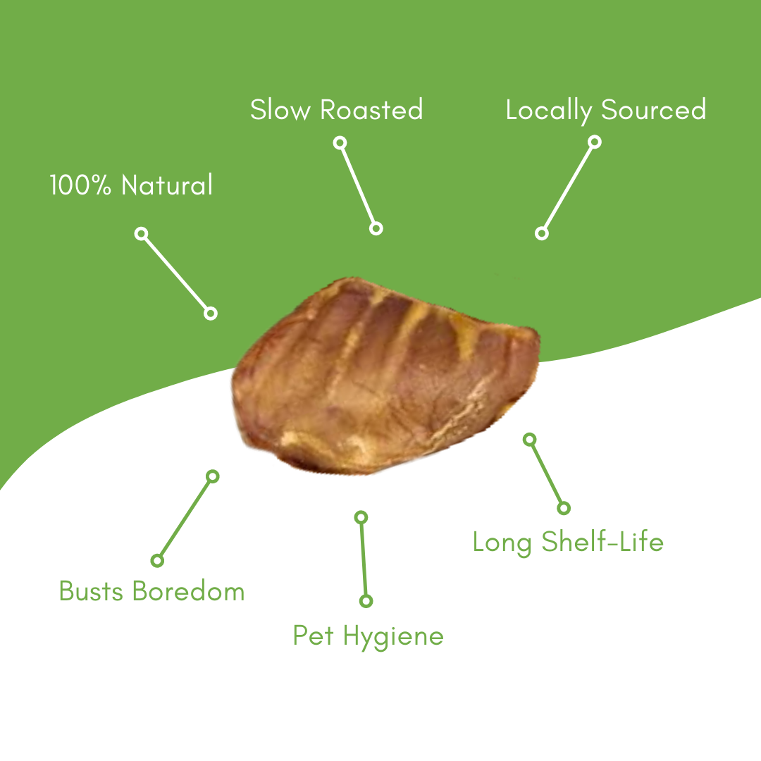 Natural Pig Ear Dog Chews