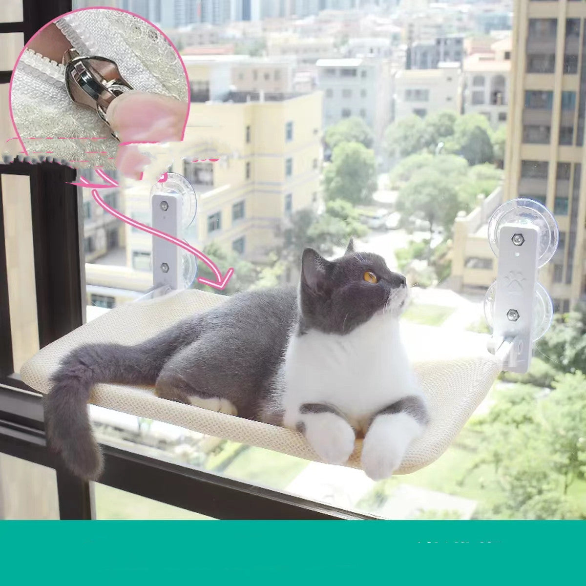 Cat Window Perch Hammock with Suction Cups