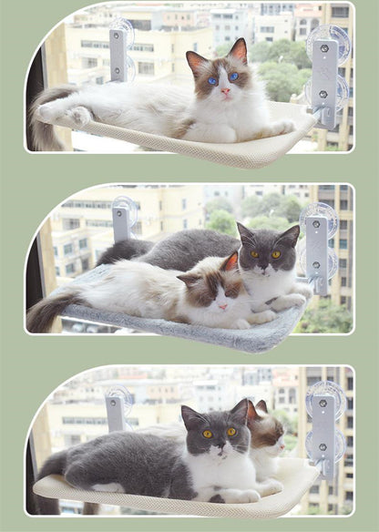 Cat Window Perch Hammock with Suction Cups