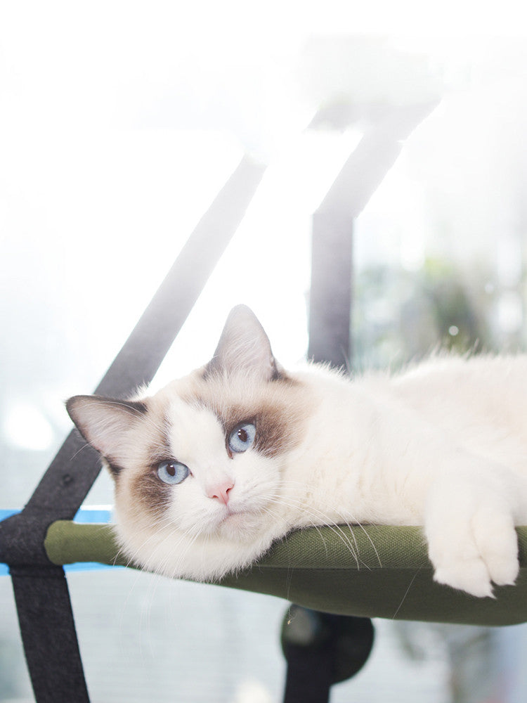 Foldable Cat Window Hammock with Suction Cups