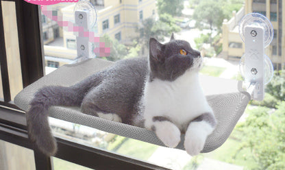 Cat Window Perch Hammock with Suction Cups