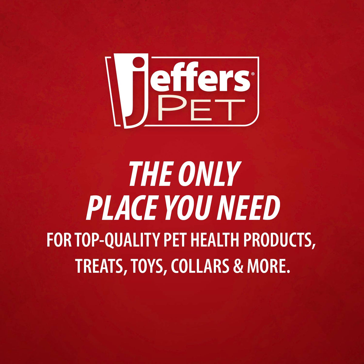 Jeffers Dual-Level Slicker Brush for Dogs & Cats