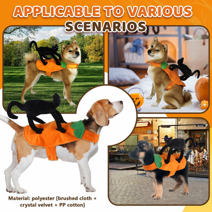 Cat Knight Saddle Dog Costume