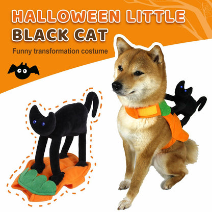 Cat Knight Saddle Dog Costume