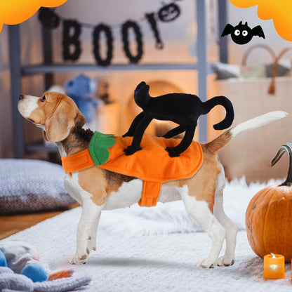 Cat Knight Saddle Dog Costume